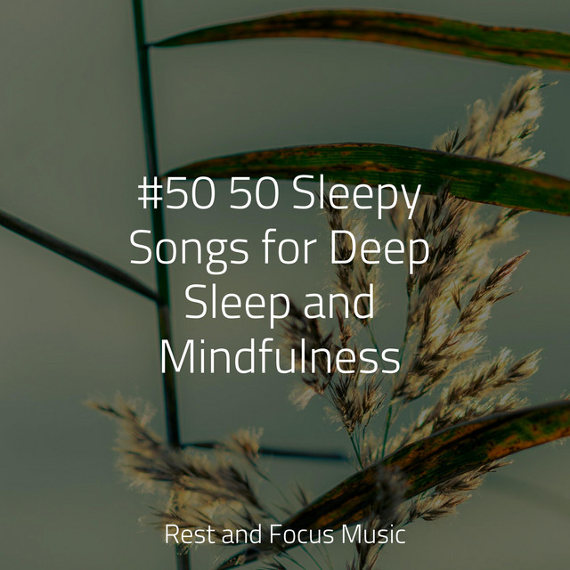 #50 50 Sleepy Songs for Deep Sleep and Mindfulness - Album by ...