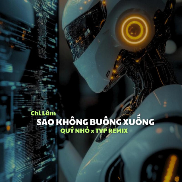 Sao Không Buông Xuống - Remix