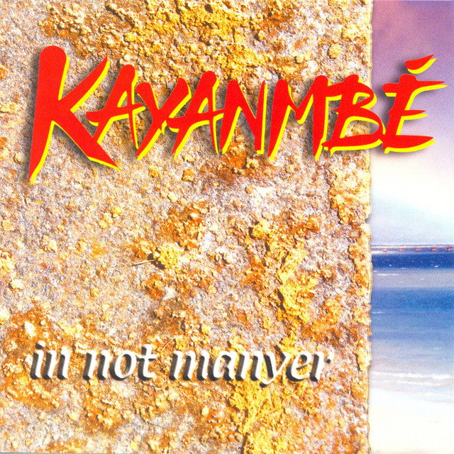 In not manyer cover art