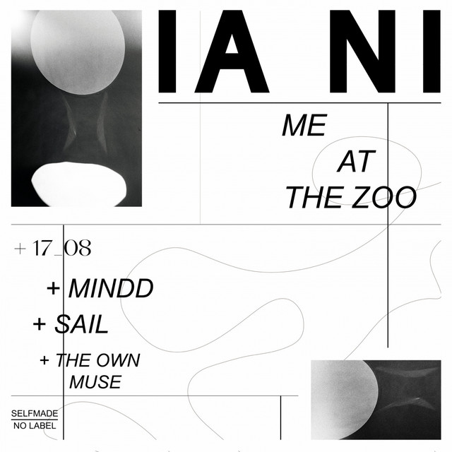 Me At The Zoo cover art