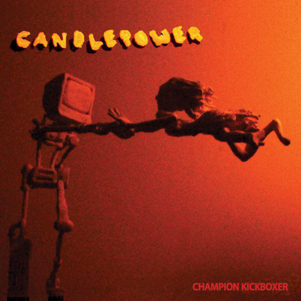 Champion Kickboxer Photo