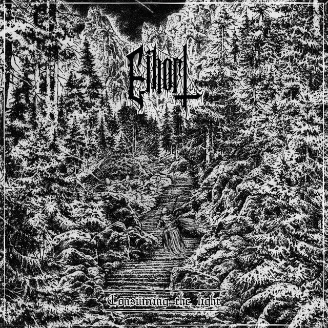 Consuming the Light cover art