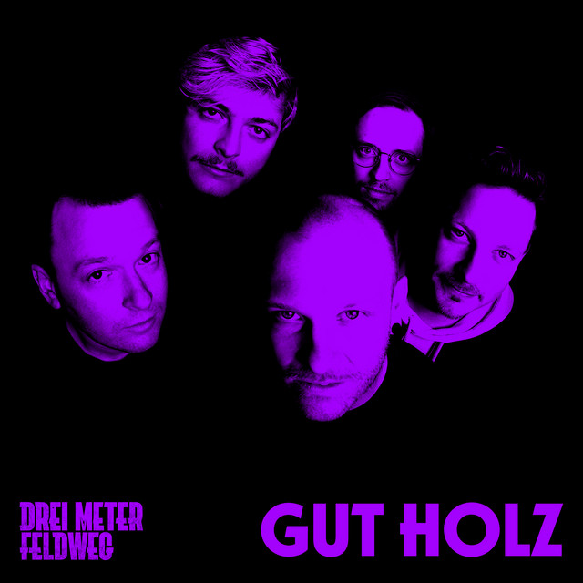 Gut Holz cover art