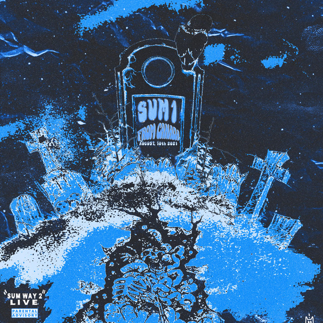 SUM WAY 2 LIVE cover art