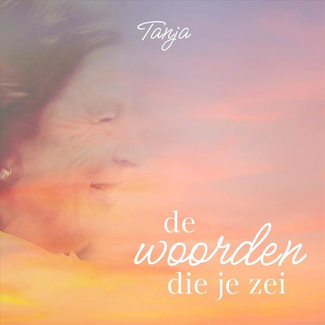 De woorden die je zei