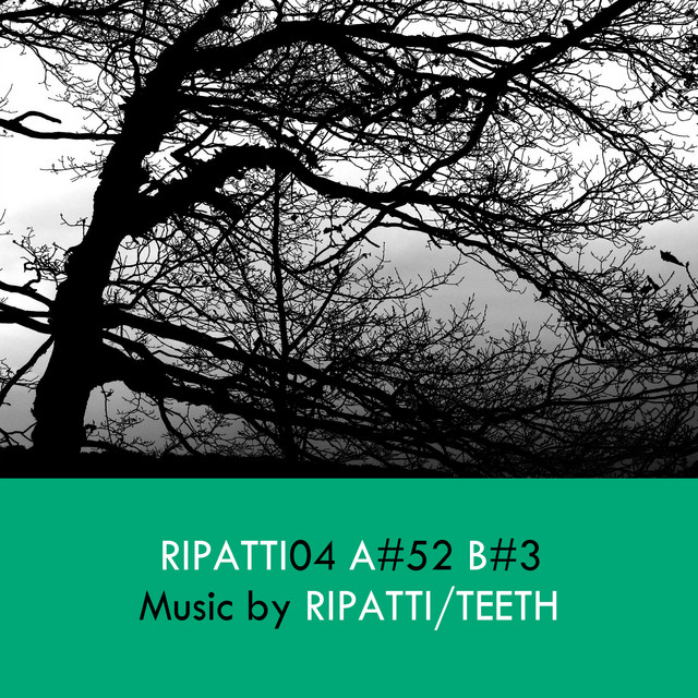 Ripatti04 cover art