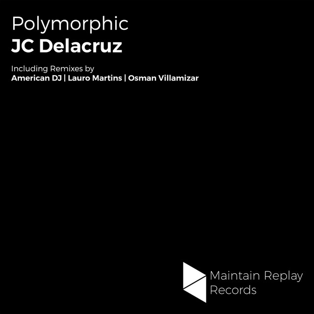 Polymorphic - Lauro Martins Remix cover art