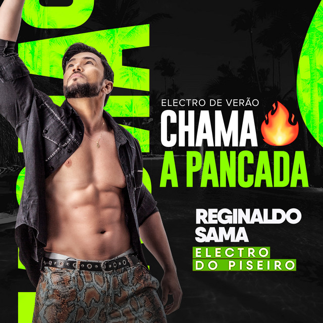 Electro de Verão, Chama a Pancada cover art