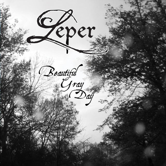 Beautiful Gray Day cover art