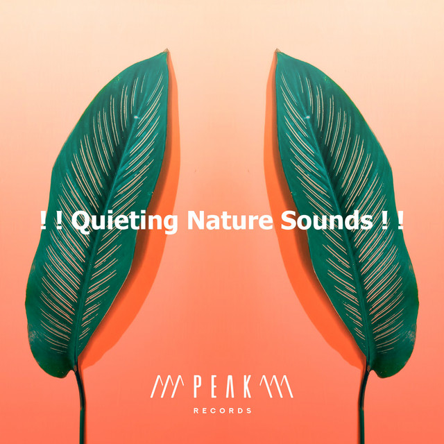 Quieting Nature Sounds ! ! - Album by Nature Sounds for Sleep and ...
