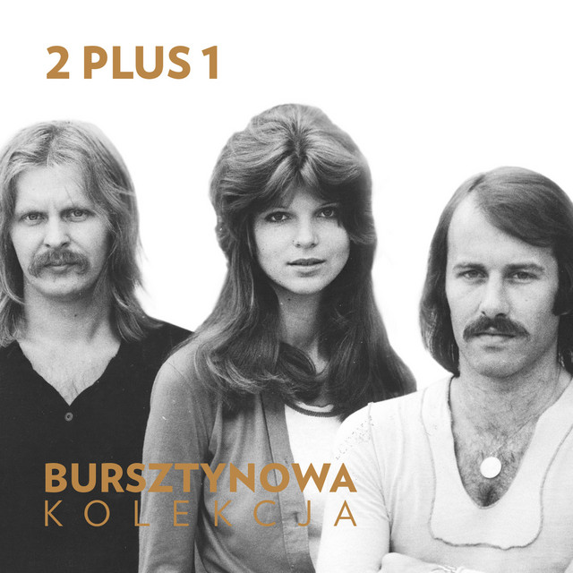 Bursztynowa Kolekcja cover art