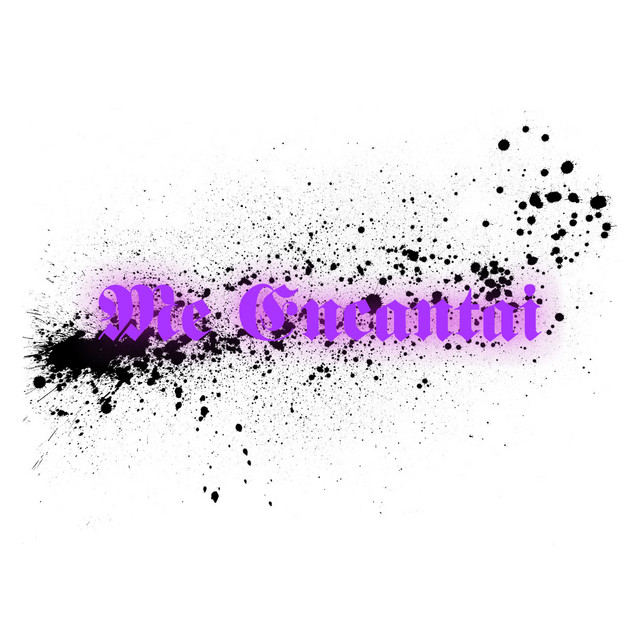 Me Encantai