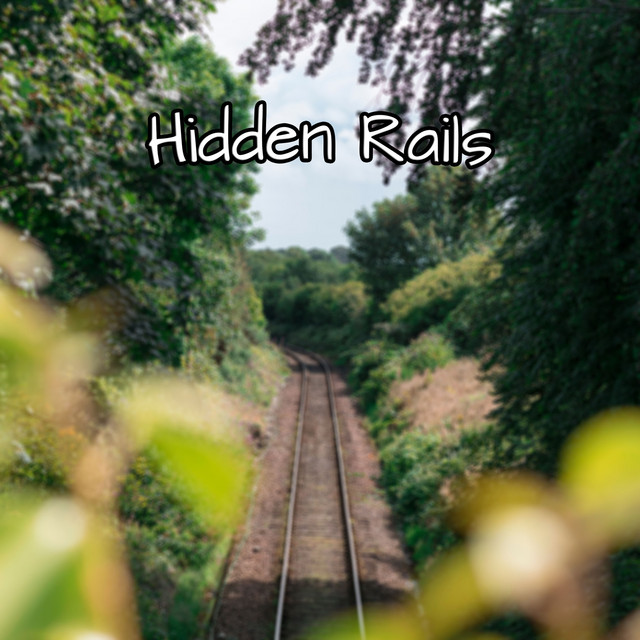 Hidden Rails cover