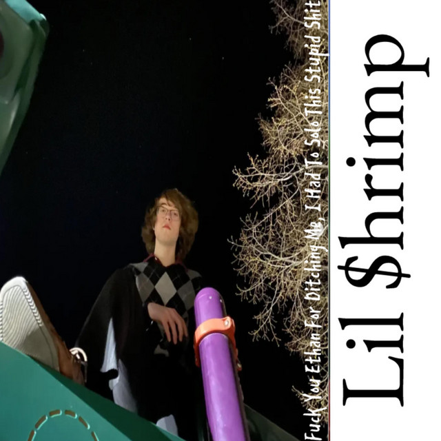 I hate ethan cause he ditched me so i had to solo this stupid ahh song cover art
