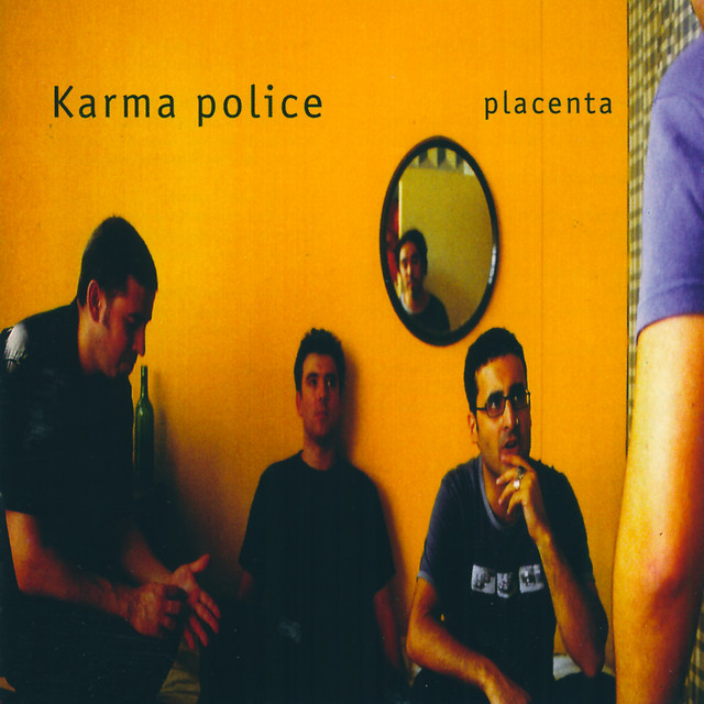 Placenta cover