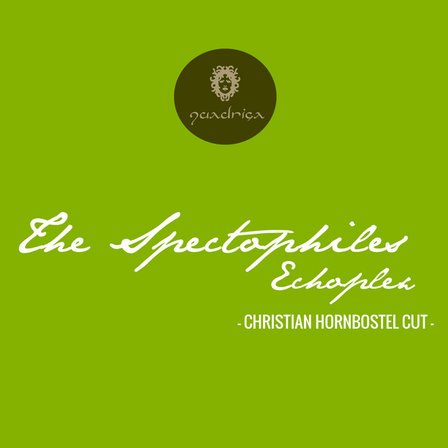 Echoplex (Christian Hornbostel Cut) cover