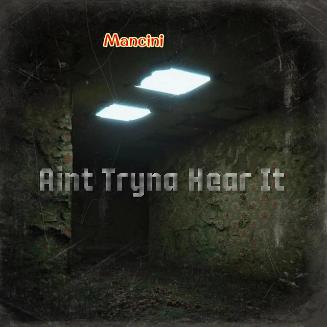 Aint Tryna Hear It artwork