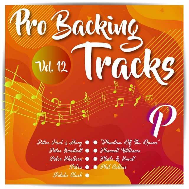 Pro Backing Tracks P, Vol.12
