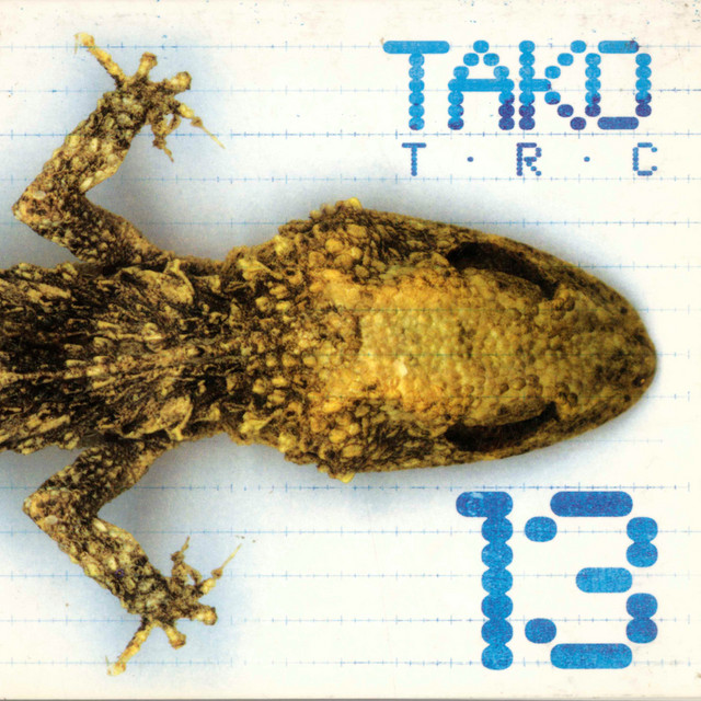 13 cover art