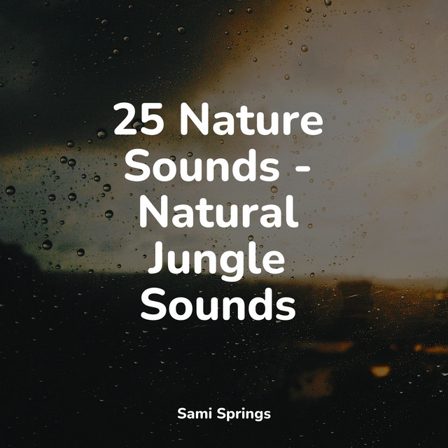 25 Comforting Rain Tracks for Sleep - Album by White Noise Sleep Sounds ...