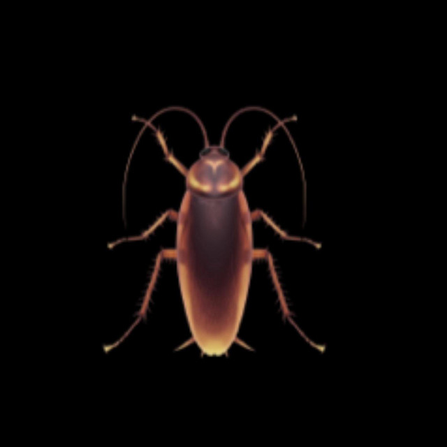 LAST DEAD BUGS cover art