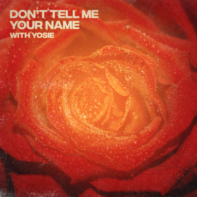 Don't Tell Me Your Name artwork