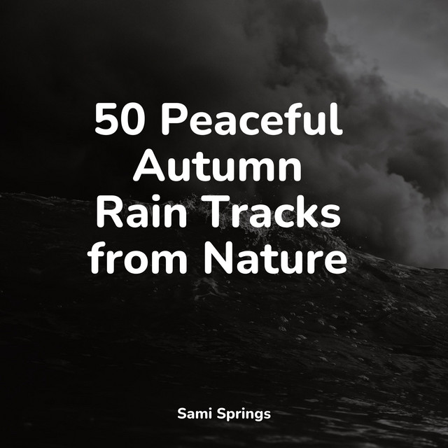 50 Peaceful Autumn Rain Tracks from Nature - Album by Nature Sounds ...
