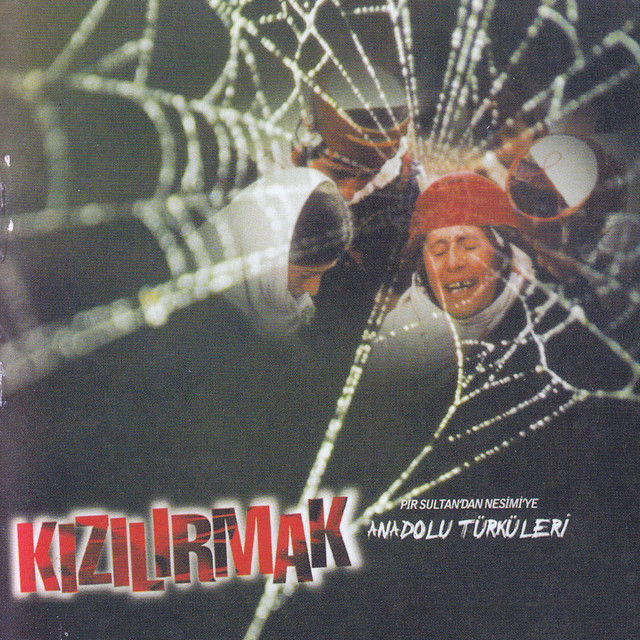 Pir Sultan'dan Nesimi'ye Anadolu Türküleri cover art