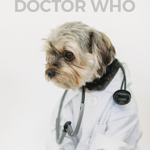 Doctor Who (single)