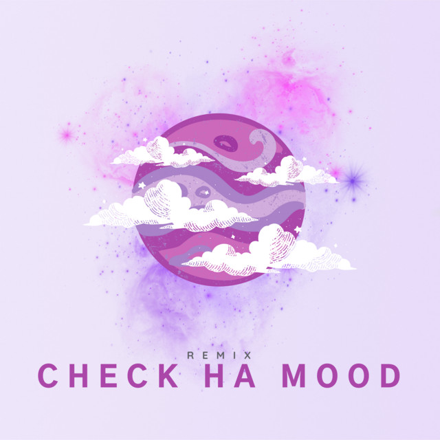 Check Ha Mood (Remix) cover art