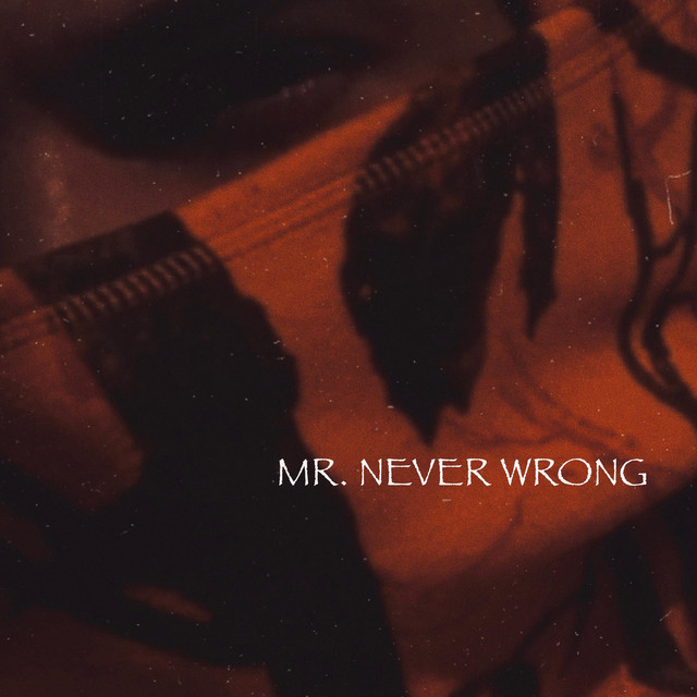 Mr. Never Wrong cover art