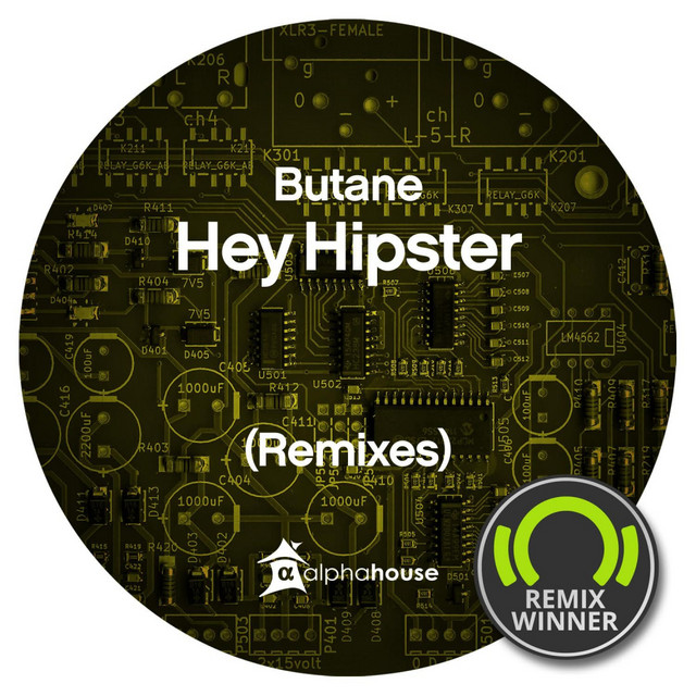 Hey Hipster (Remixes) cover
