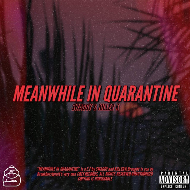 Meanwhile In Quarantine cover