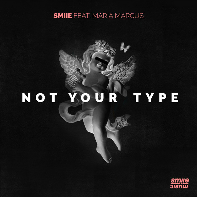 Not Your Type cover