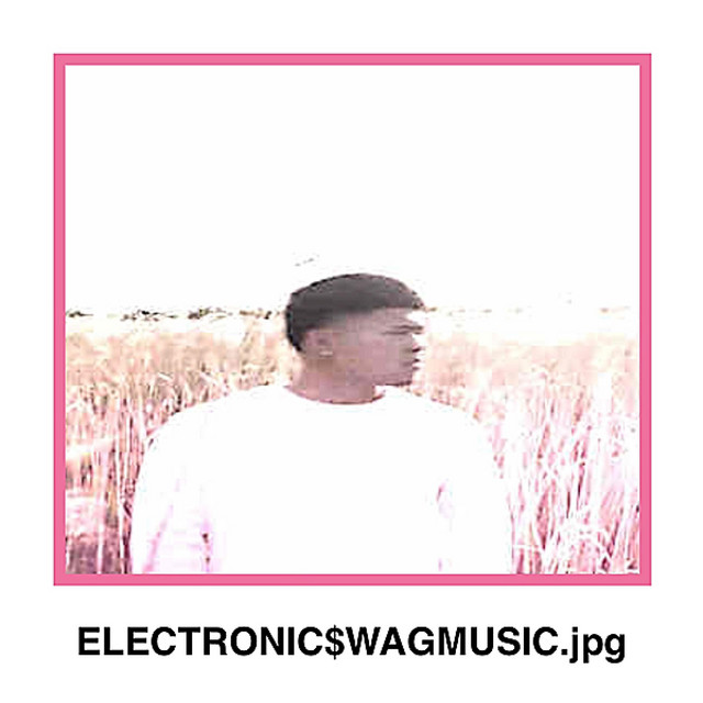 ELECTRONIC SWAG MUSIC