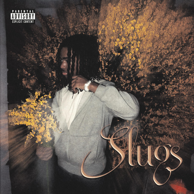 slugs - Single by babyman | Spotify