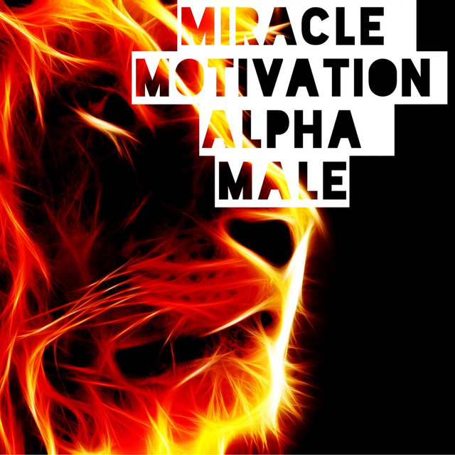 Miracle Motivation