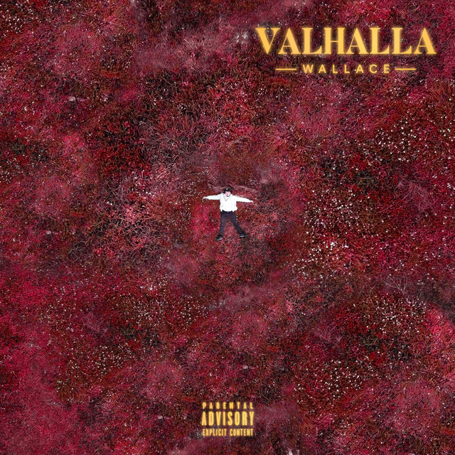 Valhalla cover art