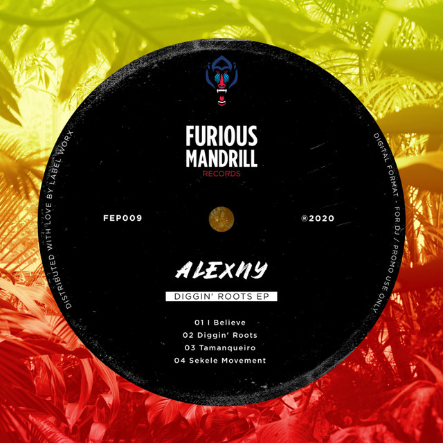 Diggin' Roots EP cover