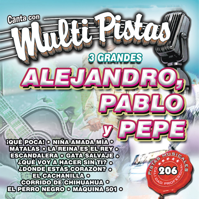 Canta Con Multi Pistas 3 Grandes Alejandro, Pablo Pepe cover art