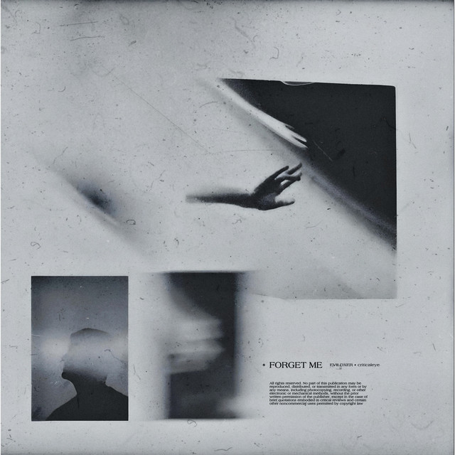 Forget Me cover art