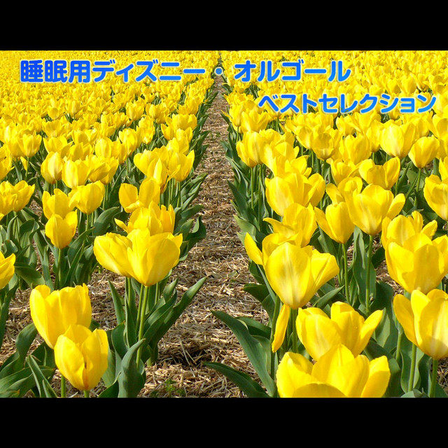 のオルゴール 三匹の子豚