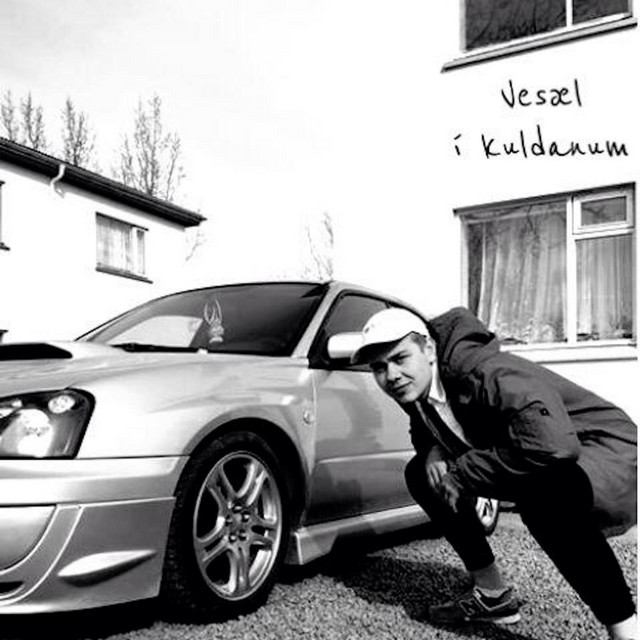Vesæl Í Kuldanum cover art
