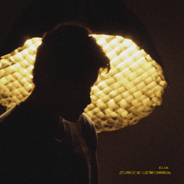 zurück gewonnen cover