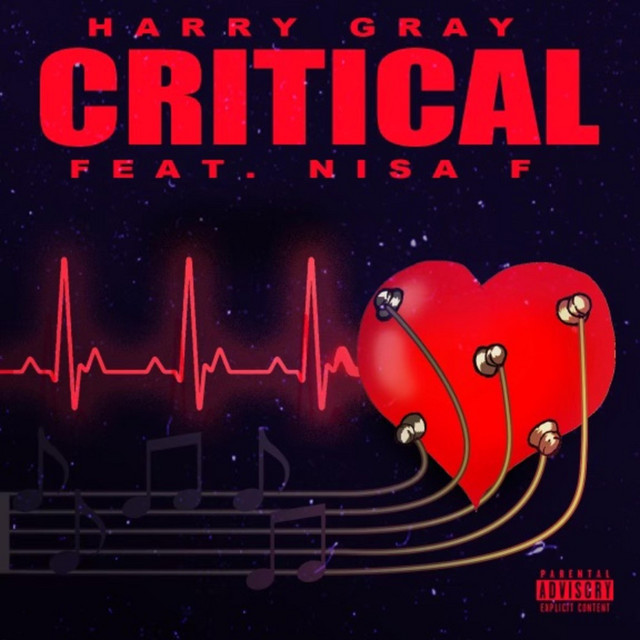 Critical - Single by Harry Gray | Spotify