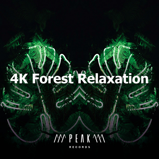 4K Forest Relaxation - Album by Rainforest Sounds | Spotify