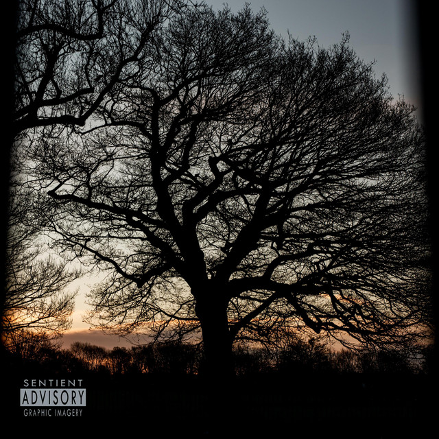 The Slower The Trajectory cover