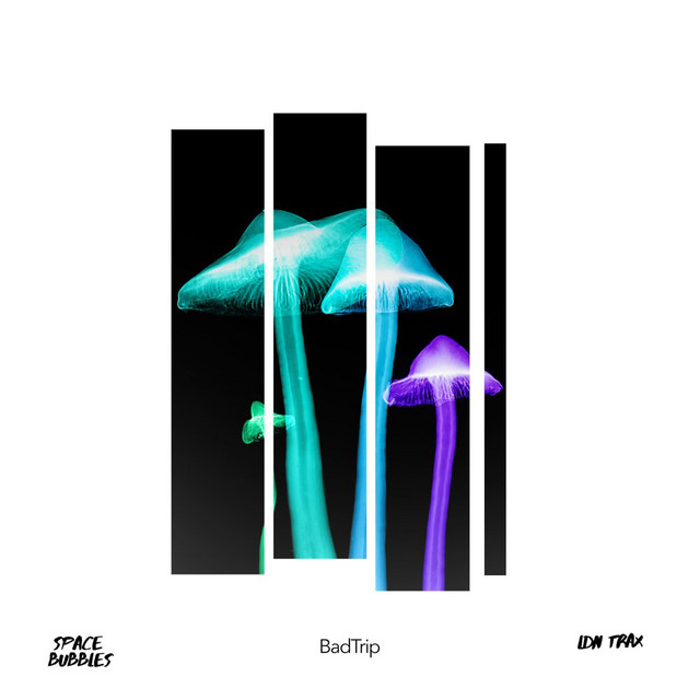 Bad Trip cover art