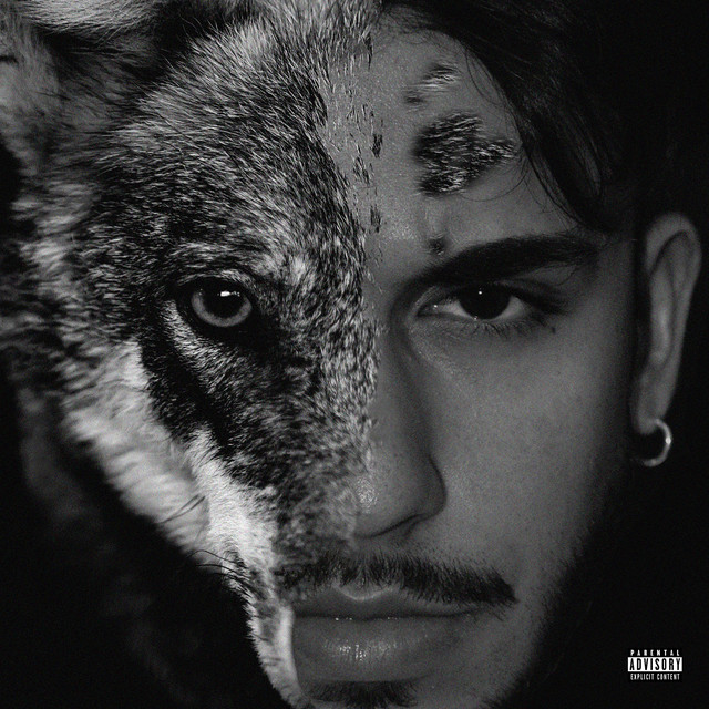 Wolves cover art