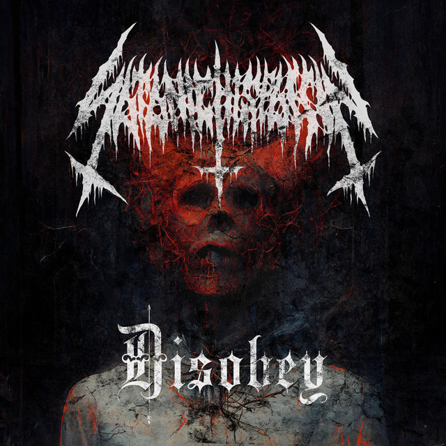 Disobey cover
